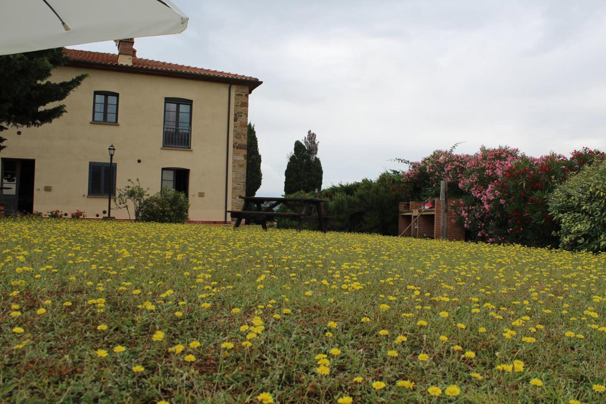 Casale Poggio Meone Apartman Santa Luce Kültér fotó